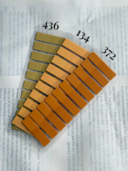 Custom Color 4 Tab Set